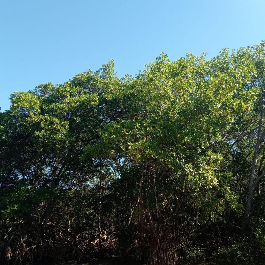 Chalé Paraíso da COFECO * Fortaleza (Ceara)